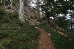 2011-04-24_Regina-F-Rau_Brunnstein-Spitze (054).JPG